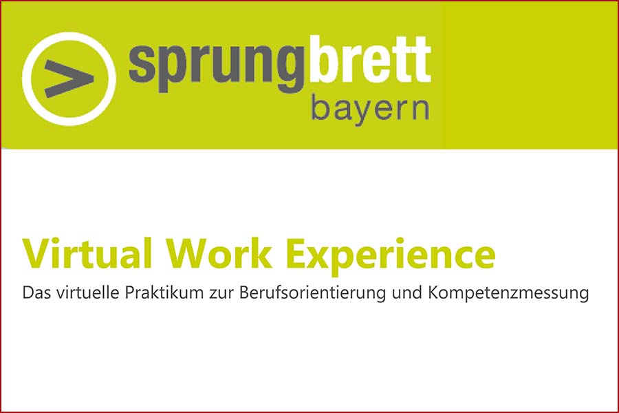 Sprungbrett - Virtual Work Experience